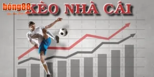 bet88-keo-nha-cai-2
