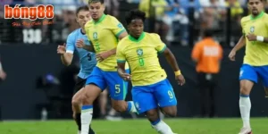 soi-keo-brazil-2